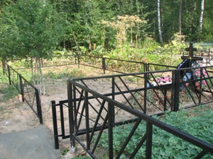 Кладбище в Алешино Кладбище в Алешино